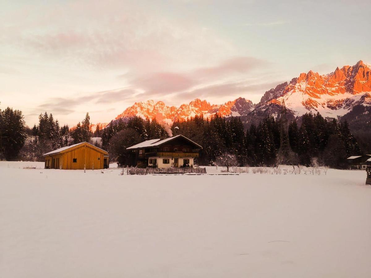 Going Artenreich Going am Wilden Kaiser Dış mekan fotoğraf